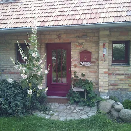 Appartement Hofboddenblick à Kuckenshagen Extérieur photo