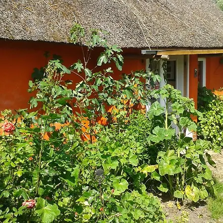 Appartement Hofboddenblick à Kuckenshagen Extérieur photo